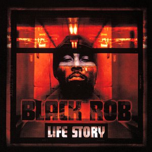 I Love You Baby Lyrics By Black Rob