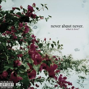 I Love You 5 Lyrics By Never Shout Never I Love You 5 Lyrics By Never Shout Never