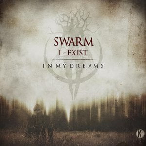 In My Dreams Lyrics By Swarm Edm